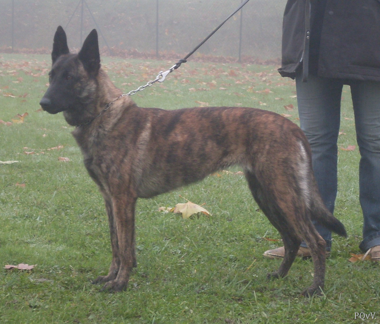 Mac Khalahann’s Enke 